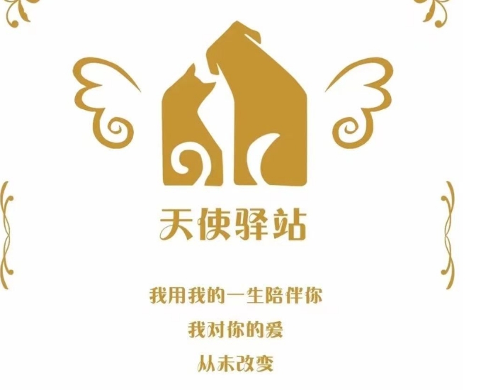 上党天使驿站宠物火化殡葬